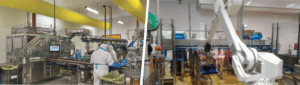 Ensuring Food Safety in Automated Processing Lines