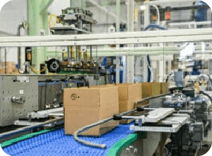 Conveyor Design for Food Packaging: Boost End-of-Line ROI